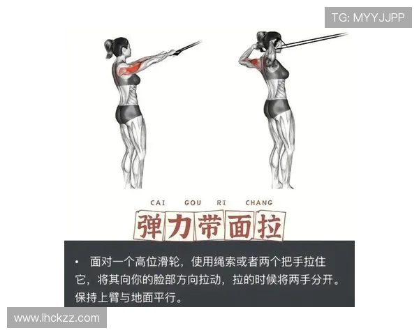 全面提升体能与塑形效果的科学健身训练与营养指导方案