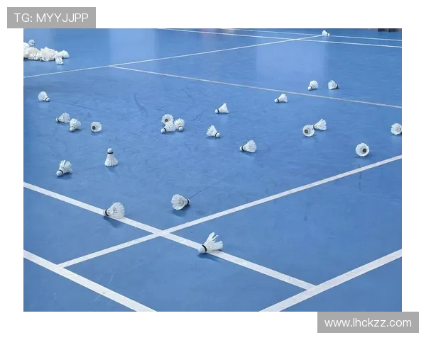 武汉羽毛球队的节奏与发展探索：聚焦羽毛球运动的未来与挑战